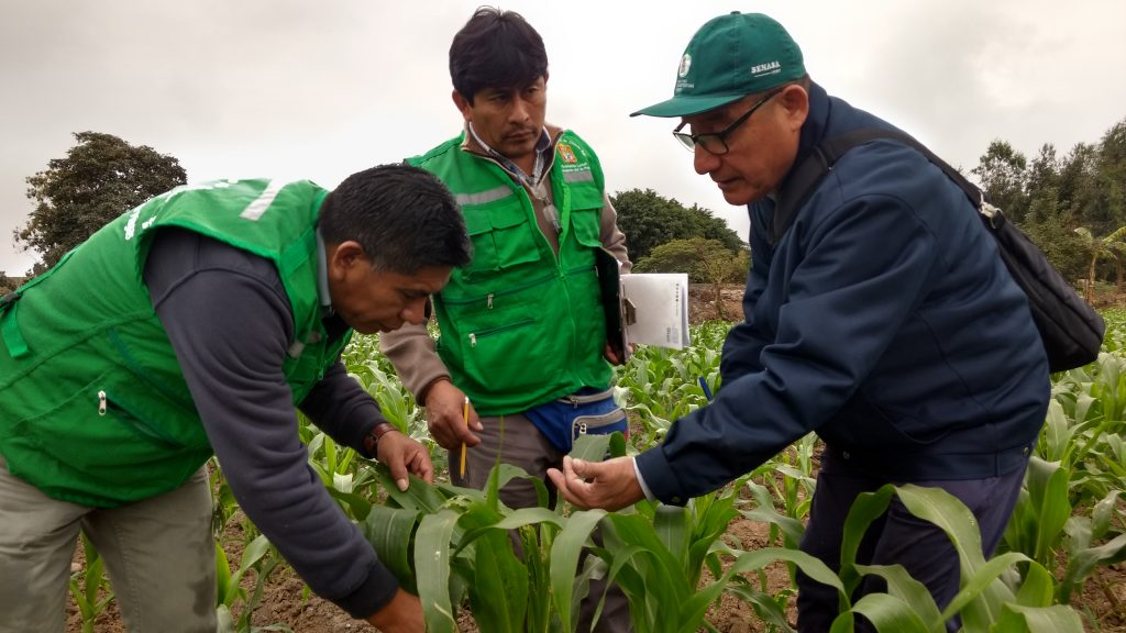 SENASA REFUERZA CAPACITACIÓN A AGRICULTORES PARA EVITAR CONTAMINACIÓN ...