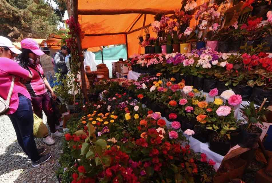 ROSAS DESDE UN SOL POR EL “DÍA NACIONAL DE LAS FLORES” – RCR Peru ROSAS DESDE UN SOL POR EL “DÍA NACIONAL DE LAS FLORES” – RCR Peru
