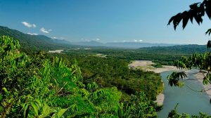DIVERSIDAD DE LA AMAZONÍA ES NECESARIA PARA LA SUPERVIVENCIA DE LA HUMANIDAD