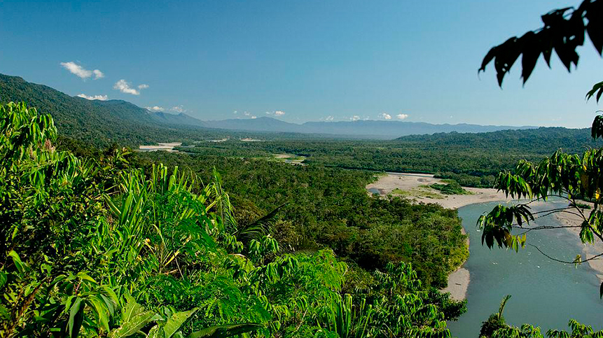 DIVERSIDAD DE LA AMAZONÍA ES NECESARIA PARA LA SUPERVIVENCIA DE LA HUMANIDAD