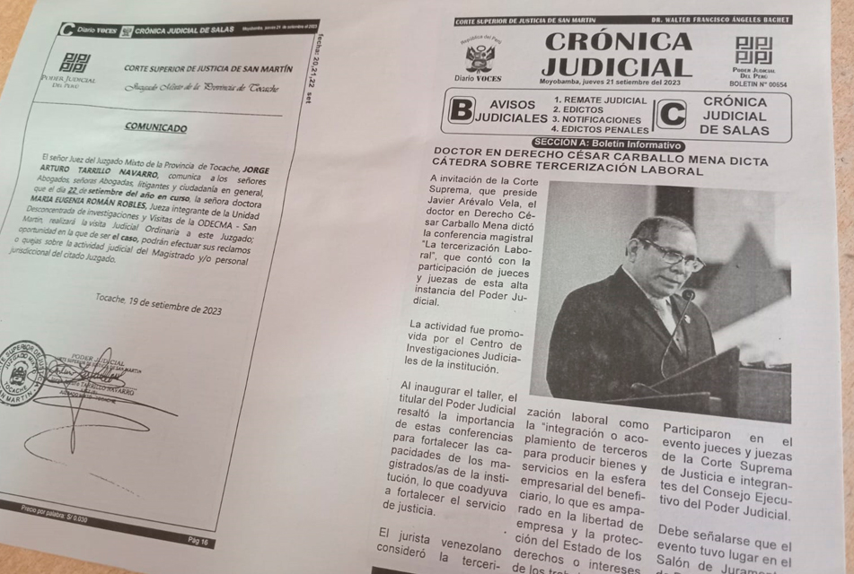 DIARIO OFICIAL Y LA FE PÚBLICA