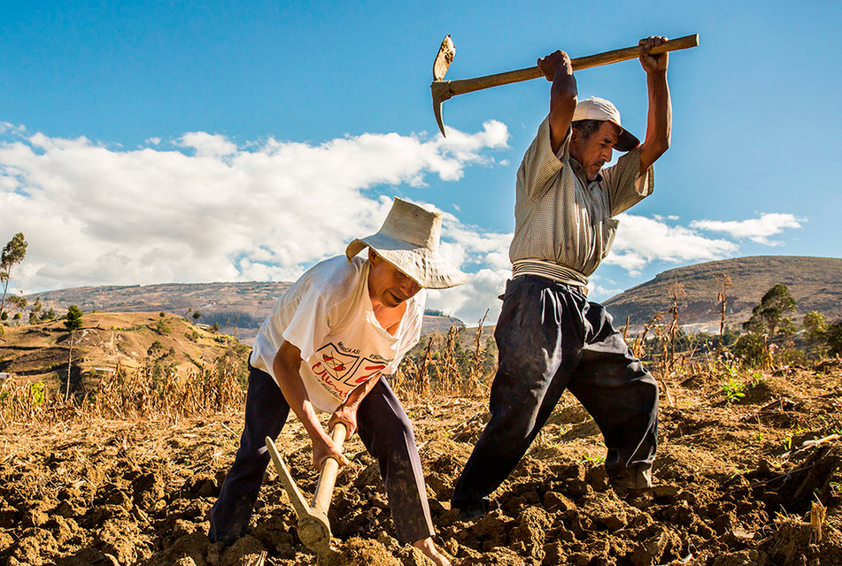 PROPONEN POSTERGACIÓN DEL PAGO DE LOS CRÉDITOS DEL 2021 PARA LA MEDIANA Y PEQUEÑA AGRICULTURA