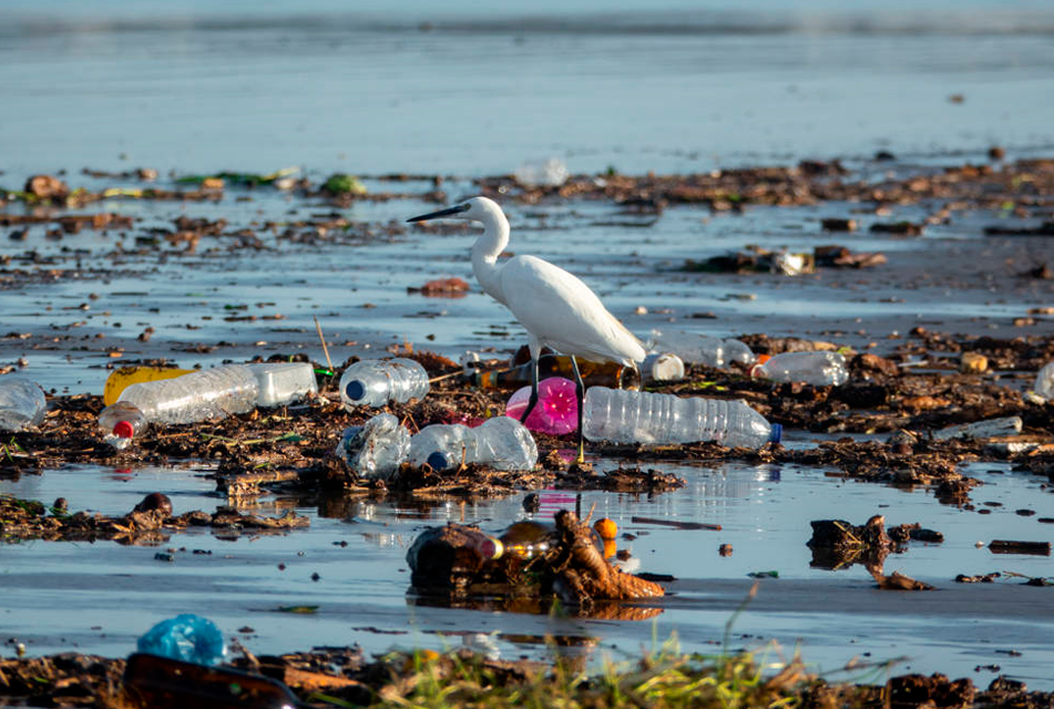 SE NECESITAN MEDIDAS URGENTES PARA REDUCIR EL USO DEL PLÁSTICO Y PROTEGER NUESTRO PLANETA