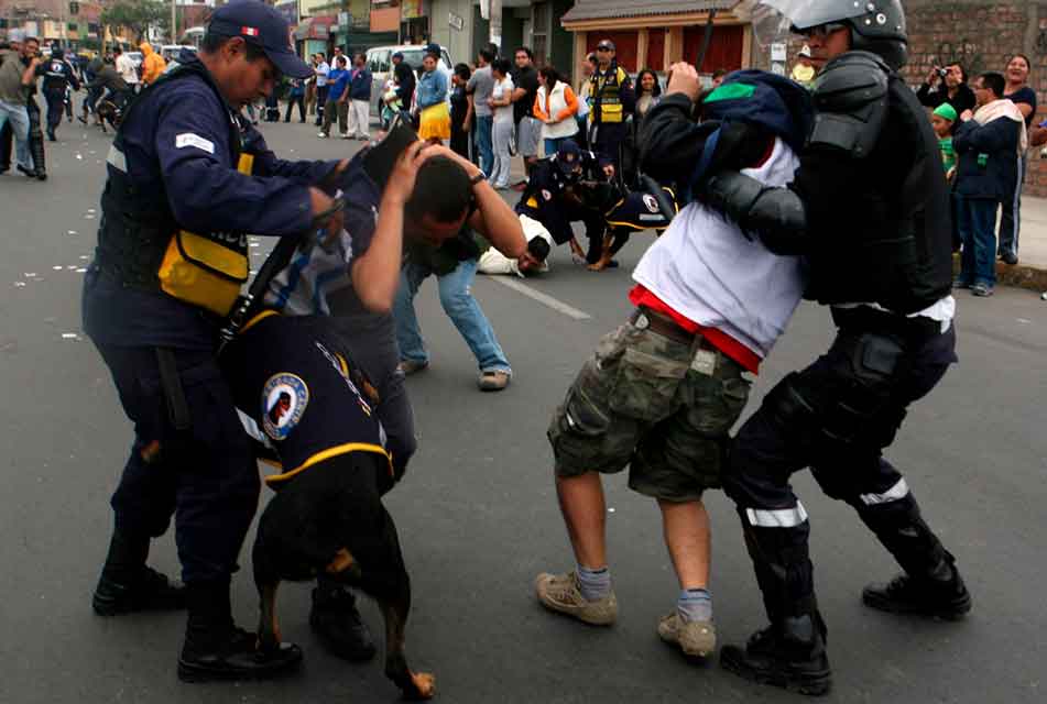 “LOS PRINCIPALES PROBLEMAS DEL PAÍS SON LA INSEGURIDAD CIUDADANA Y LA CORRUPCIÓN”