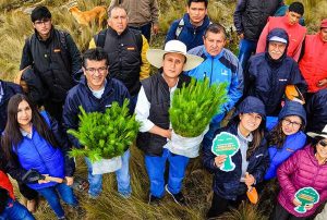 MESA TÉCNICA FORESTAL EN BUSCA DE DESARROLLAR LA ACTIVIDAD FORESTAL EN CAJAMARCA