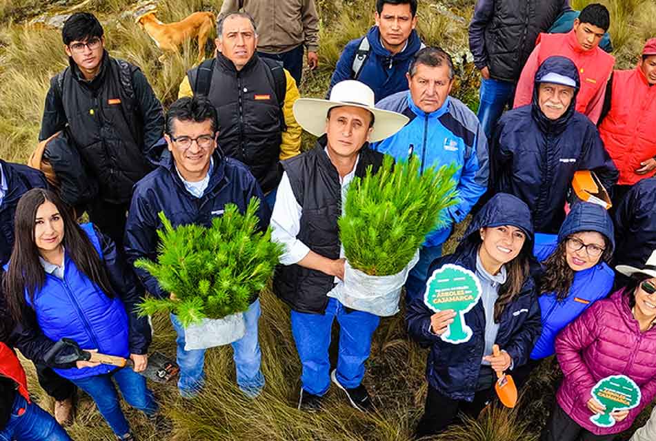 MESA TÉCNICO FORESTAL EN BUSCA DESARROLLAR LA ACTIVIDAD FORESTAL EN CAJAMARCA