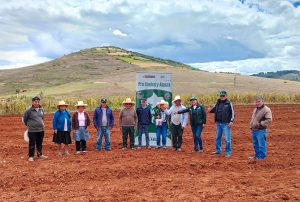 CAJAMARCA: MIDAGRI INSTALA PARCELA DEMOSTRATIVA PARA INCREMENTAR PRODUCCIÓN DE ALFALFA DE ALTA CALIDAD GENÉTICA EN EL DISTRITO DE NAMORA