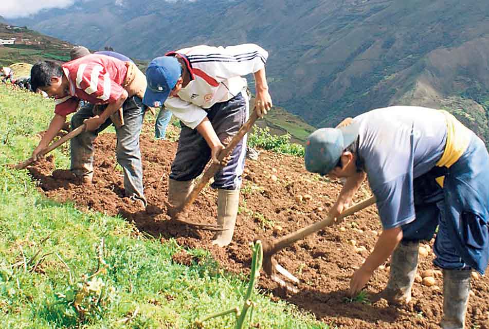 MINISTRO DE DESARROLLO AGRARIO SE HABRÍA CONTACTADO CON AGRICULTORES QUE DENUNCIAN DEUDA DE $ 200 000