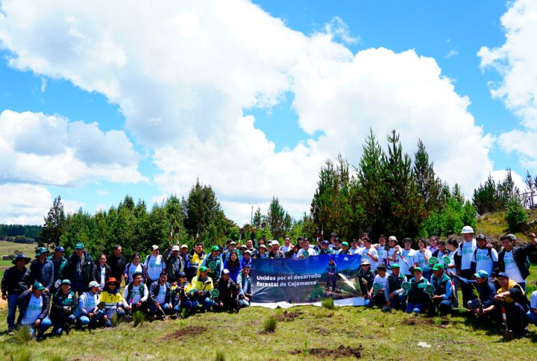 CAJAMARCA: HUELLA VERDE SUPERÓ META DE PLANTAR MÁS DE MILLÓN Y MEDIO DE ÁRBOLES