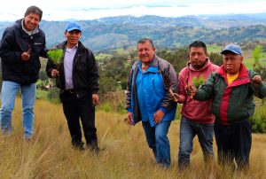 MUNICIPALIDAD DE BAÑOS DEL INCA DESTACA CAMPAÑA DE FORESTACIÓN DE ASOCIACIÓN FONCREAGRO – NEWMONT POR BENEFICIOS ECONÓMICOS Y AMBIENTALES PARA EL DISTRITO