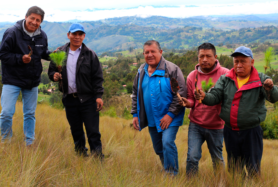 MUNICIPALIDAD DE BAÑOS DEL INCA DESTACA CAMPAÑA DE FORESTACIÓN DE ASOCIACIÓN FONCREAGRO – NEWMONT POR BENEFICIOS ECONÓMICOS Y AMBIENTALES PARA EL DISTRITO