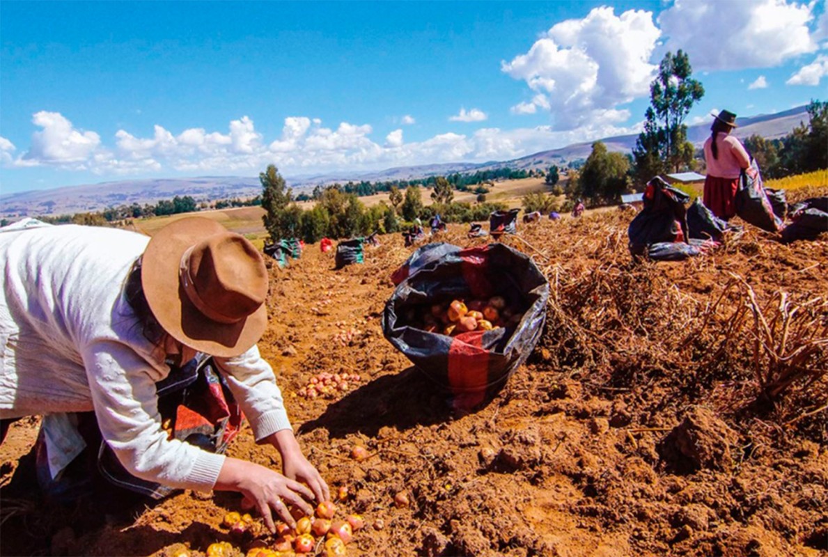 PRODUCTORES AGRARIOS CUESTIONAN INACCIÓN ESTATAL ANTE CRIMINALIDAD
