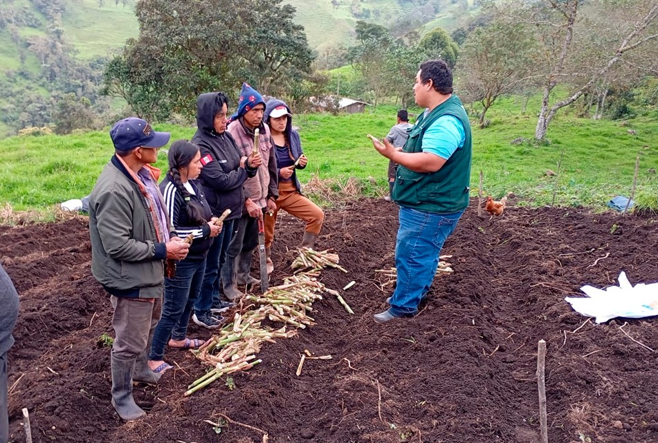 CAJAMARCA: MIDAGRI PROMUEVE TECNOLOGÍAS ORGÁNICAS PARA ELEVAR LA CALIDAD DE SUELOS EN JAÉN