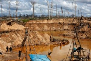 ALERTAN QUE MINERÍA ILEGAL ESTÁ DESPLAZANDO EL CULTIVO DE CAFÉ COMO FUENTE DE INGRESO ECONÓMICO EN CAJAMARCA