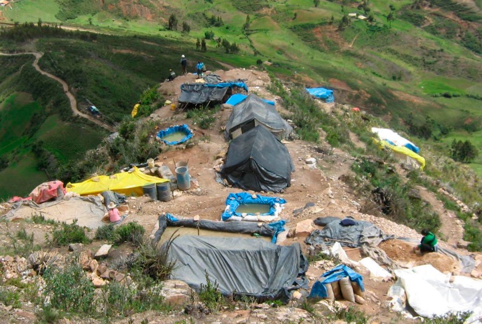 ALERTAN QUE MINERÍA ILEGAL ESTÁ DESPLAZANDO EL CULTIVO DE CAFÉ COMO FUENTE DE INGRESO ECONÓMICO EN CAJAMARCA