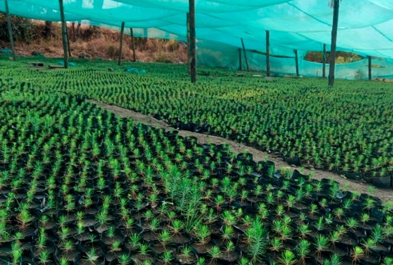 FONCREAGRO APUESTA POR TECNOLOGÍA Y ALIANZAS ESTRATÉGICAS PARA IMPULSAR LA REFORESTACIÓN Y EL DESARROLLO HÍDRICO EN CAJAMARCA