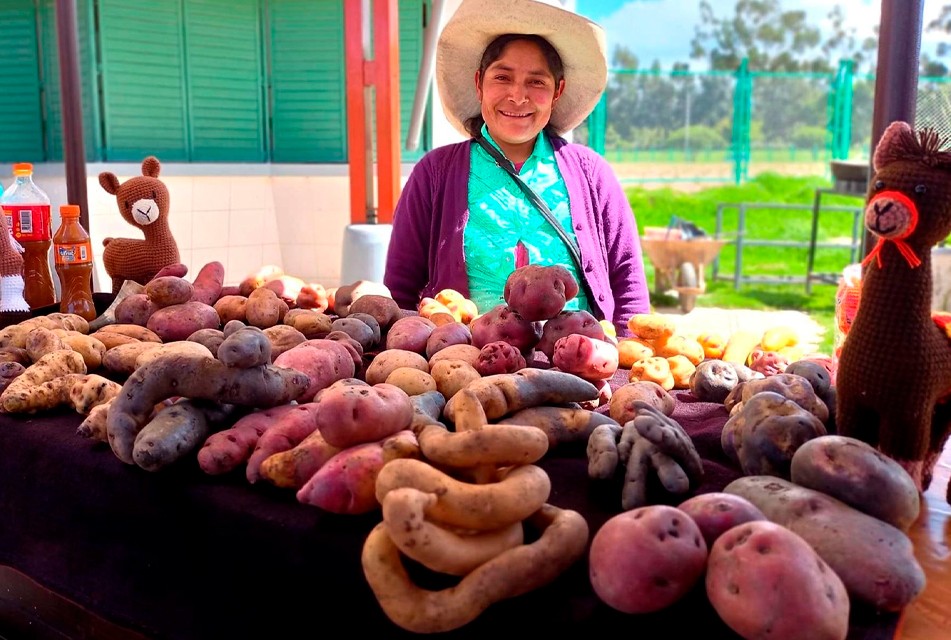 FERIA "CONSUME LO QUE CAJAMARCA PRODUCE” RENDIRÁ HOMENAJE AL DÍA INTERNACIONAL DE LA PAPA