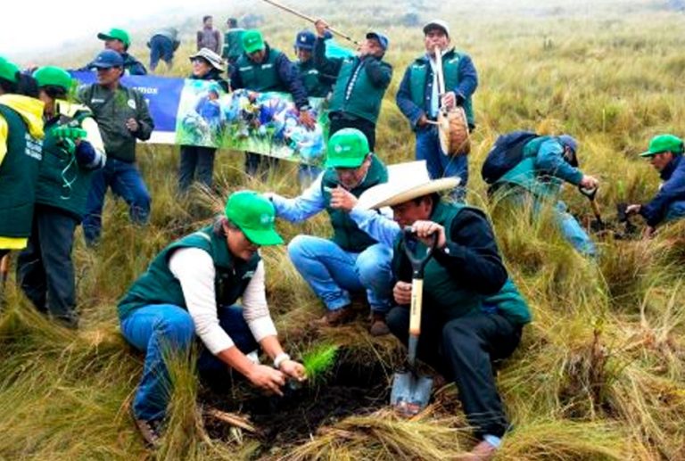 CAPACITACIONES IMPULSADAS POR EL PROYECTO HUELLA VERDE SON FUNDAMENTALES PARA FORTALECER LA REFORESTACIÓN