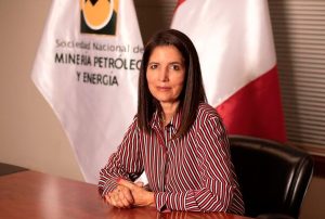 SNMPE DEMANDA REVISIÓN DE REGLAMENTO QUE PERMITIRÍA HEREDAR LOS REINFOS
