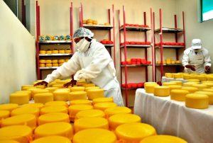 23 PRODUCTORES DE CAJAMARCA PARTICIPARÁN EN SALÓN DEL QUESO EN LIMA