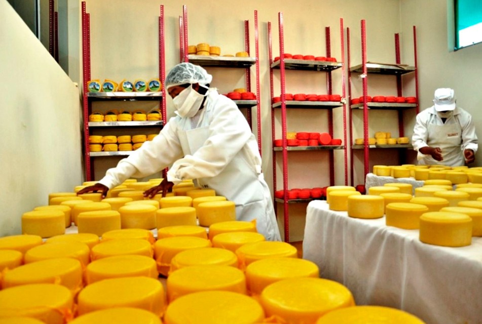 23 PRODUCTORES DE CAJAMARCA PARTICIPARÁN EN SALÓN DEL QUESO EN LIMA