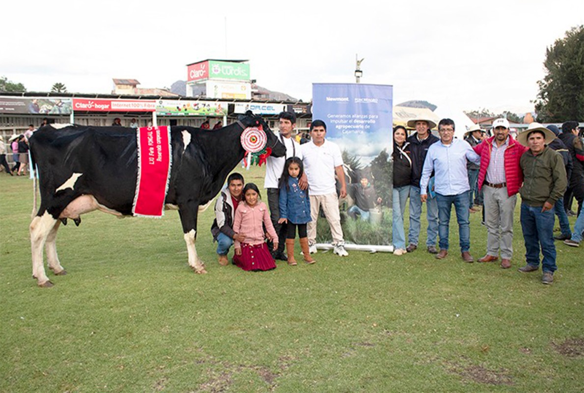 PROGRAMA GANADEROS DE ALTURA COMPETIRÁN CON 15 PRODUCTORES EN LA FERIA FONGAL CAJAMARCA
