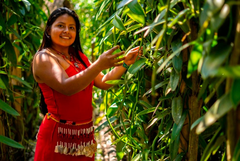 DAVID LANDA: “LA COOPERACIÓN INTERNACIONAL ES UNA VENTANA DE ESPERANZA PARA LA AMAZONÍA”
