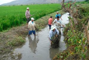 MÁS DE 14 MIL AGRICULTORES FORMALIZARON SU ACCESO AL AGUA GRACIAS A LA AUTORIDAD NACIONAL DEL AGUA