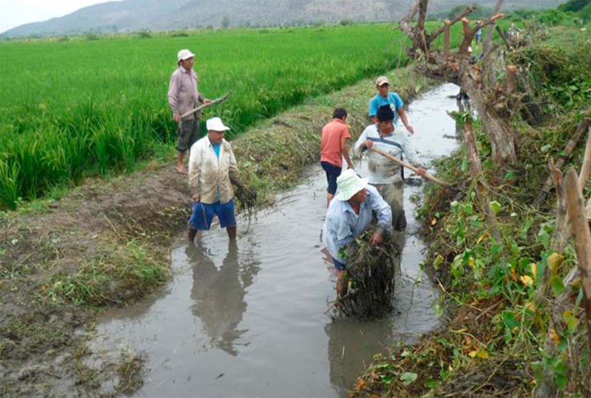 MÁS DE 14 MIL AGRICULTORES FORMALIZARON SU ACCESO AL AGUA GRACIAS A LA AUTORIDAD NACIONAL DEL AGUA