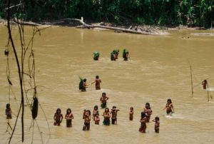 ¿GUARDIANES O RESPONSABLES? EL ROSTRO OCULTO DEL INDÍGENA AMAZÓNICO EN LA CRISIS AMBIENTAL