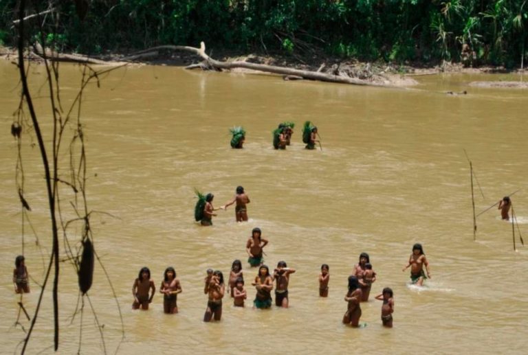 ¿GUARDIANES O RESPONSABLES? EL ROSTRO OCULTO DEL INDÍGENA AMAZÓNICO EN LA CRISIS AMBIENTAL