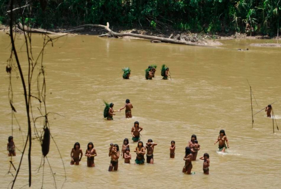 ¿GUARDIANES O RESPONSABLES? EL ROSTRO OCULTO DEL INDÍGENA AMAZÓNICO EN LA CRISIS AMBIENTAL