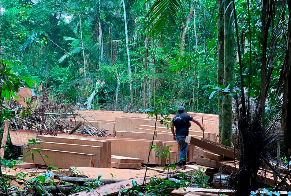 IIAP: MADRE DE DIOS HA PERDIDO 122 MIL HECTÁREAS DE ÁREAS FORESTALES POR PRESENCIA DE LA MINERÍA ILEGAL