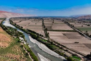 JORGE LUIS MONTERO: “TÍA MARÍA ENTRARÁ A FASE DE CONSTRUCCIÓN ESTE 2025, NO HAY MÁS TIEMPO QUE PERDER”