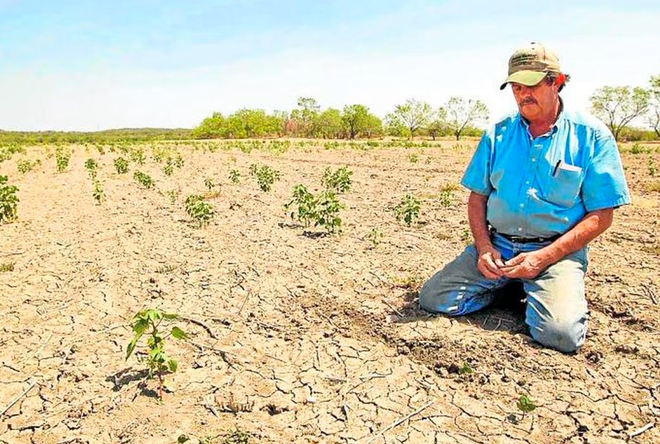 MÁS DE 140 CANALES DE RIEGO INOPERATIVOS POR LA TEMPORADA DE LLUVIAS PODRÍAN AFECTAR A MÁS DE 5 MIL AGRICULTORES EN CAJAMARCA