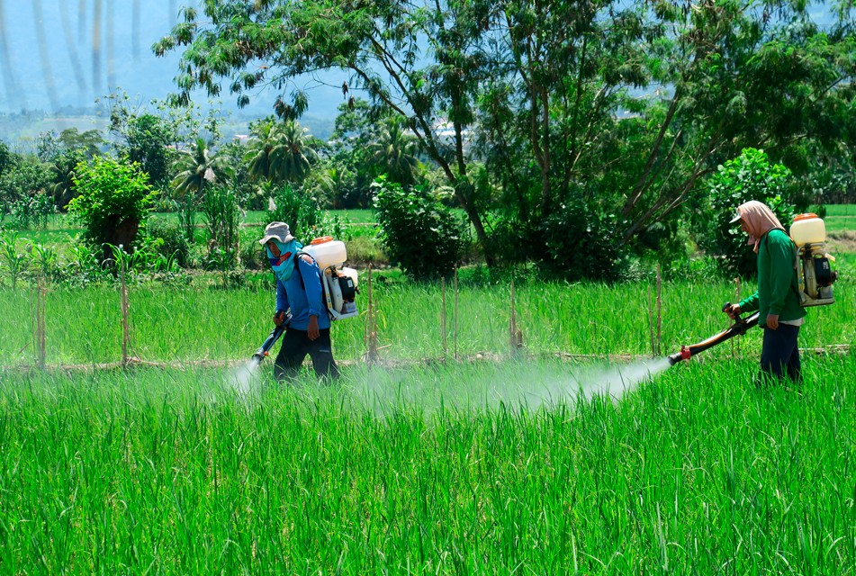 CULTIVIDA ALERTA RIESGOS DE AGROQUÍMICOS ILEGALES QUE INGRESAN AL PERÚ
