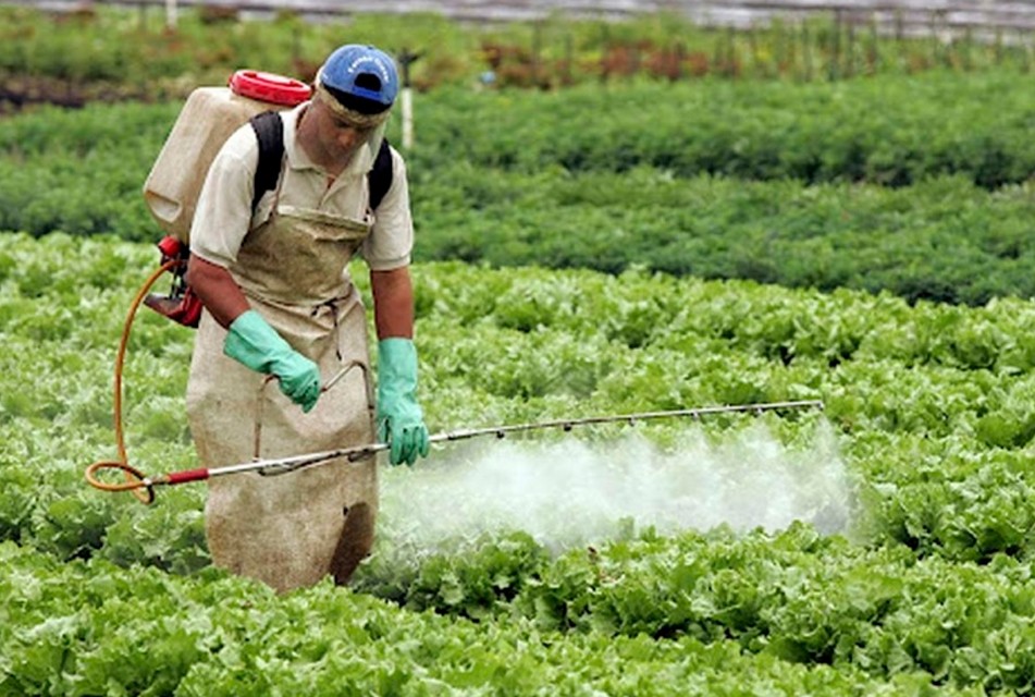 ALARMANTE AUMENTO DE COMERCIO DE AGROQUÍMICOS ILEGALES EN PERÚ QUE AMENAZAN LA SALUD Y EL AMBIENTE