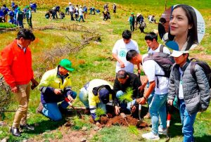 REFORESTACIÓN EN CAJAMARCA ES UN ÉXITO GRACIAS AL TRABAJO ARTICULADO ENTRE LA MUNICIPALIDAD PROVINCIAL Y NEWMONT FONCREAGRO A TRAVÉS DEL PROYECTO HUELLA VERDE