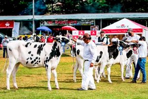 FERIA FONGAL SE HA CONSOLIDADO COMO UN PUNTO CLAVE DE ENCUENTRO PARA EL DESARROLLO ECONOMICO DE CAJAMARCA