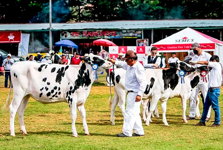 FERIA FONGAL SE HA CONSOLIDADO COMO UN PUNTO CLAVE DE ENCUENTRO PARA EL DESARROLLO ECONOMICO DE CAJAMARCA