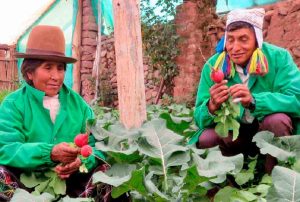 PERUMIN INSPIRA: ESTOS SON LOS 10 FINALISTAS DE LA SEXTA EDICIÓN DEL PREMIO A EMPRENDIMIENTOS SOCIALES