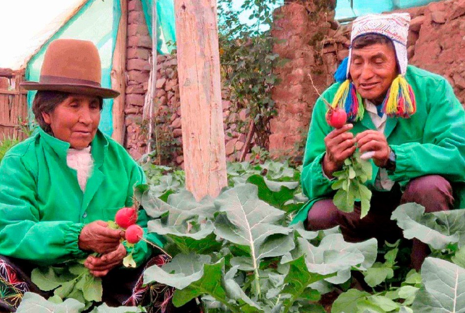 PERUMIN INSPIRA: ESTOS SON LOS 10 FINALISTAS DE LA SEXTA EDICIÓN DEL PREMIO A EMPRENDIMIENTOS SOCIALES