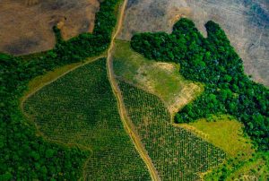 PROPONEN POLÍTICAS DE ESTADO PARA IMPULSAR LA AGROINDUSTRIA EN LA AMAZONÍA