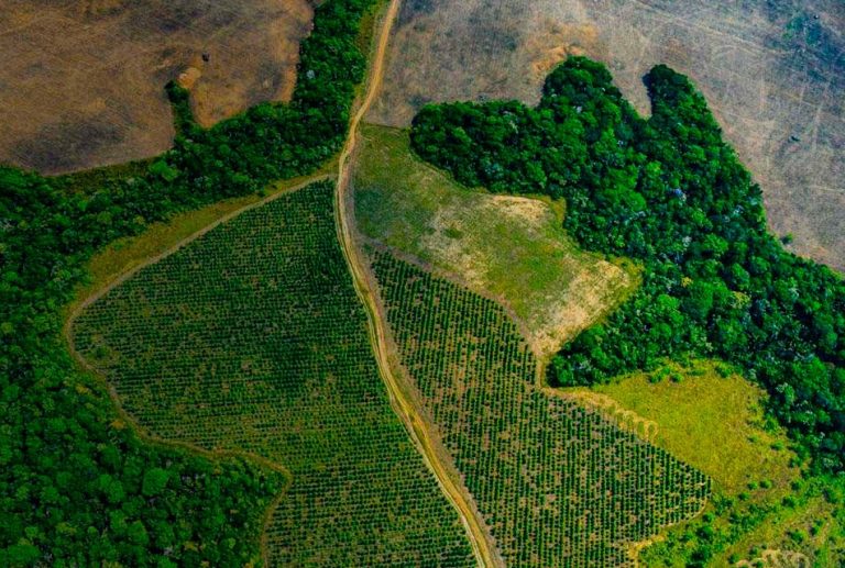 PROPONEN POLÍTICAS DE ESTADO PARA IMPULSAR LA AGROINDUSTRIA EN LA AMAZONÍA
