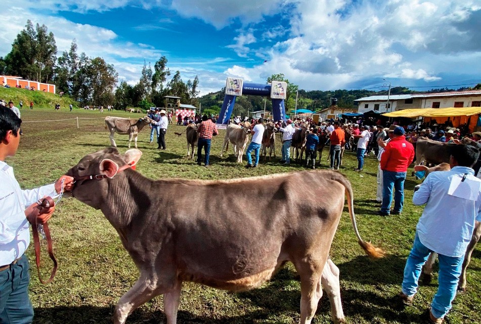ASCALPE:  PROGRAMA “GANADEROS DE ALTURA” ES UN MODELO DE ÉXITO