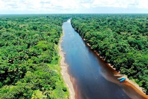 SE REQUIERE DE UN MODELO DE DESARROLLO TERRITORIAL CON ENFOQUE DE SOSTENIBILIDAD SUSTENTABLE EN LA AMAZONIA