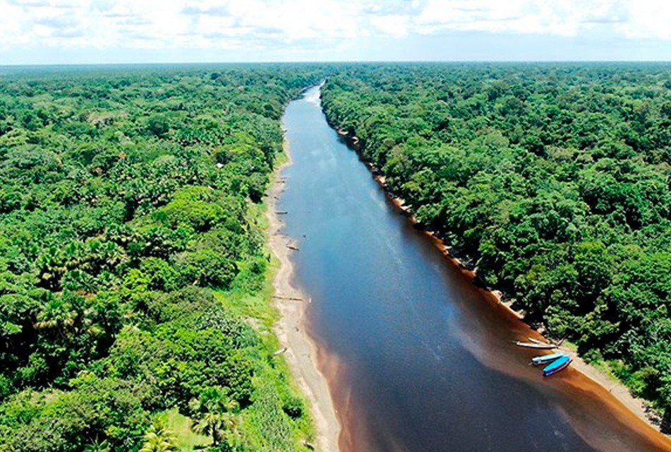 SE REQUIERE DE UN MODELO DE DESARROLLO TERRITORIAL CON ENFOQUE DE SOSTENIBILIDAD SUSTENTABLE EN LA AMAZONIA