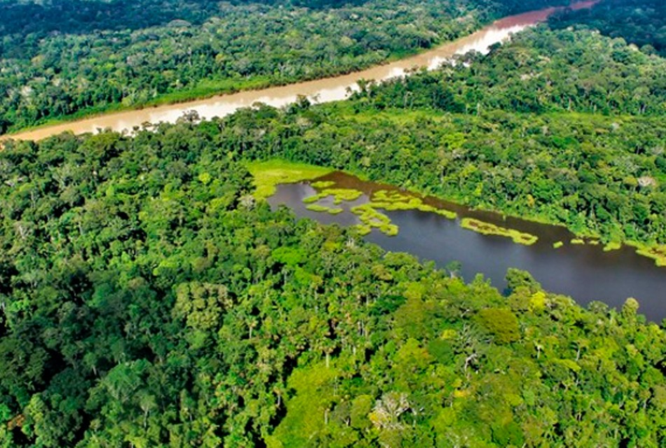 GOBIERNO PRIORIZARÁ DESARROLLO DEL GRAN PLAN AMAZÓNICO DE CONSERVACIÓN DE BOSQUES