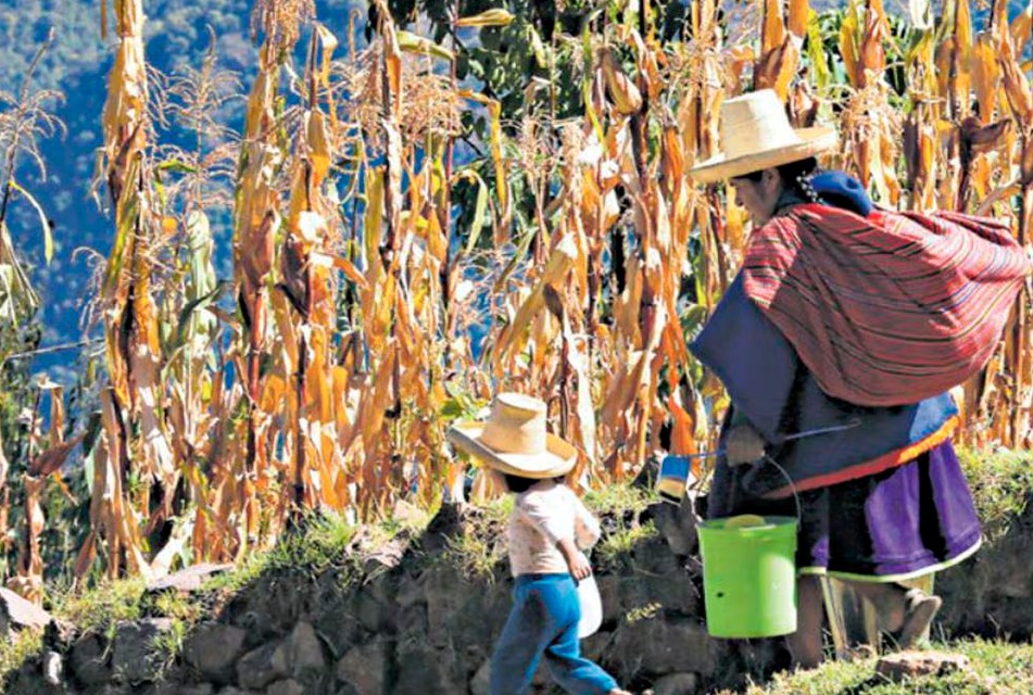 IPE: CAJAMARCA ENFRENTA UN DETERIORO EN INDICADORES CLAVE DEL INCORE 2025