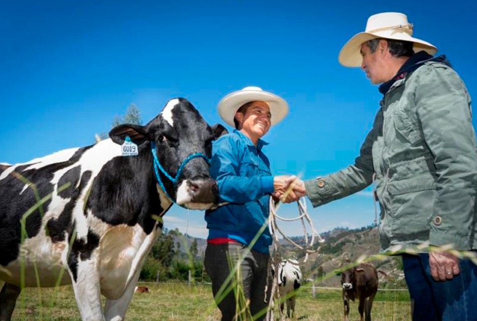 “GANADEROS DE ALTURA” SE HA CONSOLIDADO COMO MODELO NACIONAL DE DESARROLLO GANADERO SOSTENIBLE